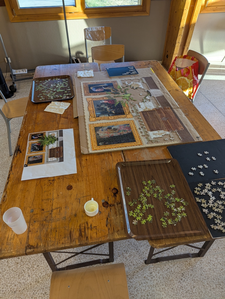 Un puzzle de 2 000 pièces en cours d'assemblage sur une table, entouré de plateaux de tri et du modèle imprimé